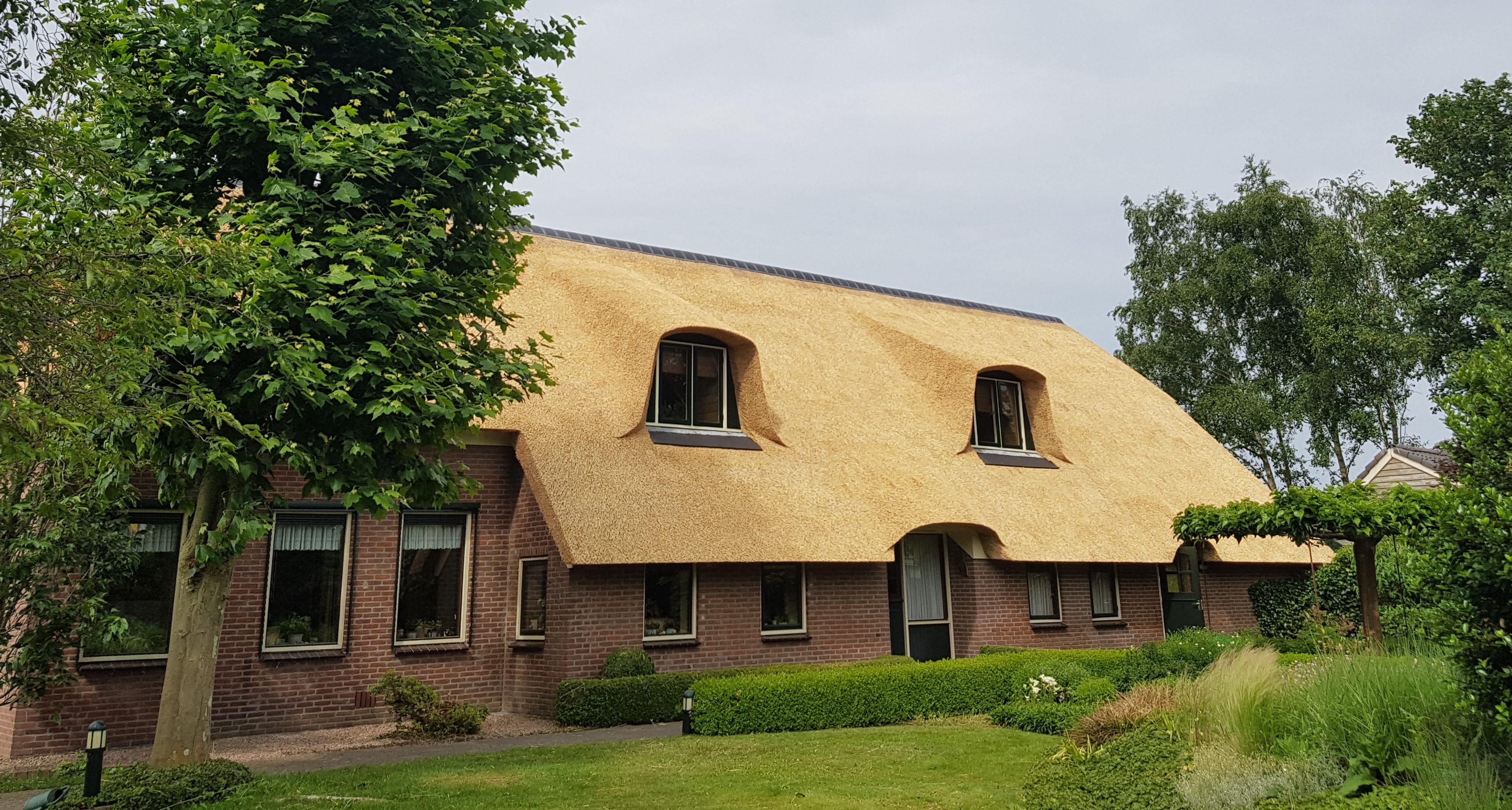 Rieten dak laten aanleggen Holthone