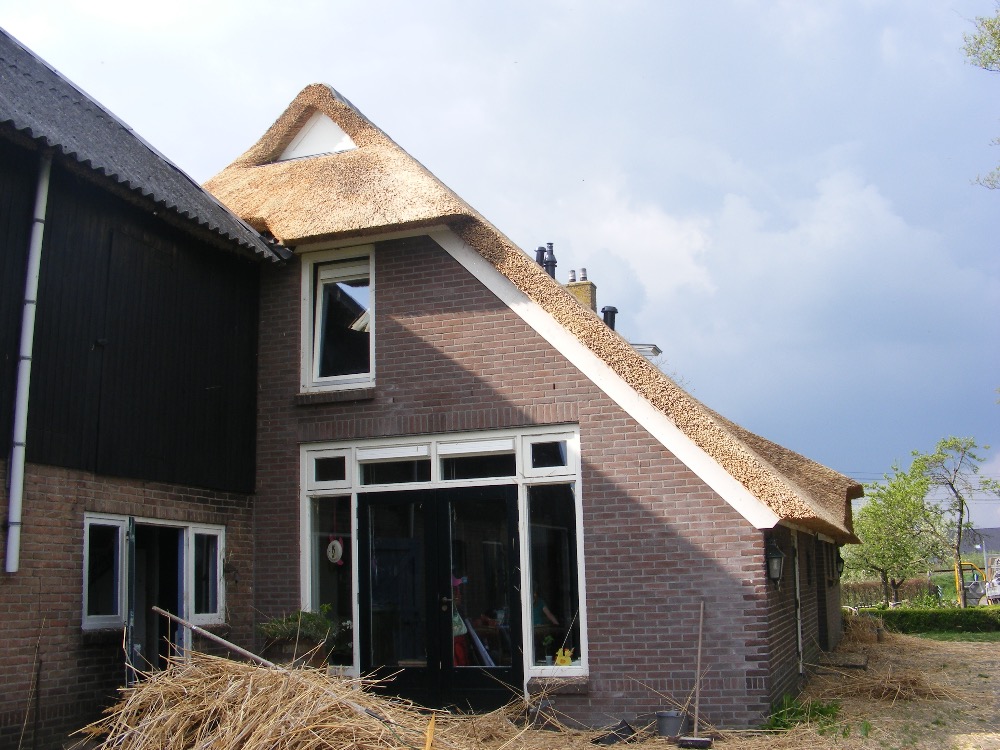 Rietdak in Nieuwleusen.