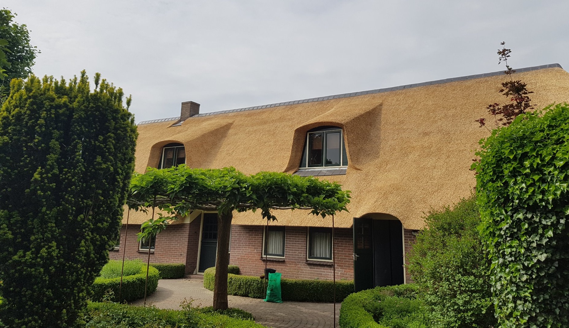 Rieten dak aanleggen in Drenthe