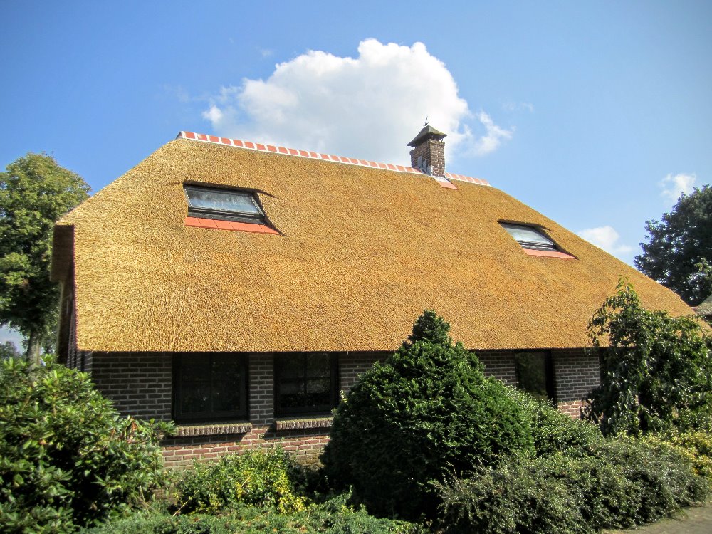 Rietendak: Dedemsvaart.