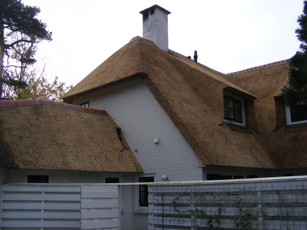 Dak met riet plaatsen in Hattem.