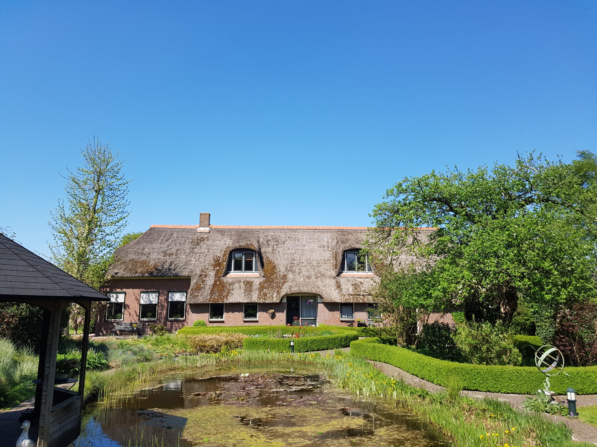 aanleg rieten dak drenthe