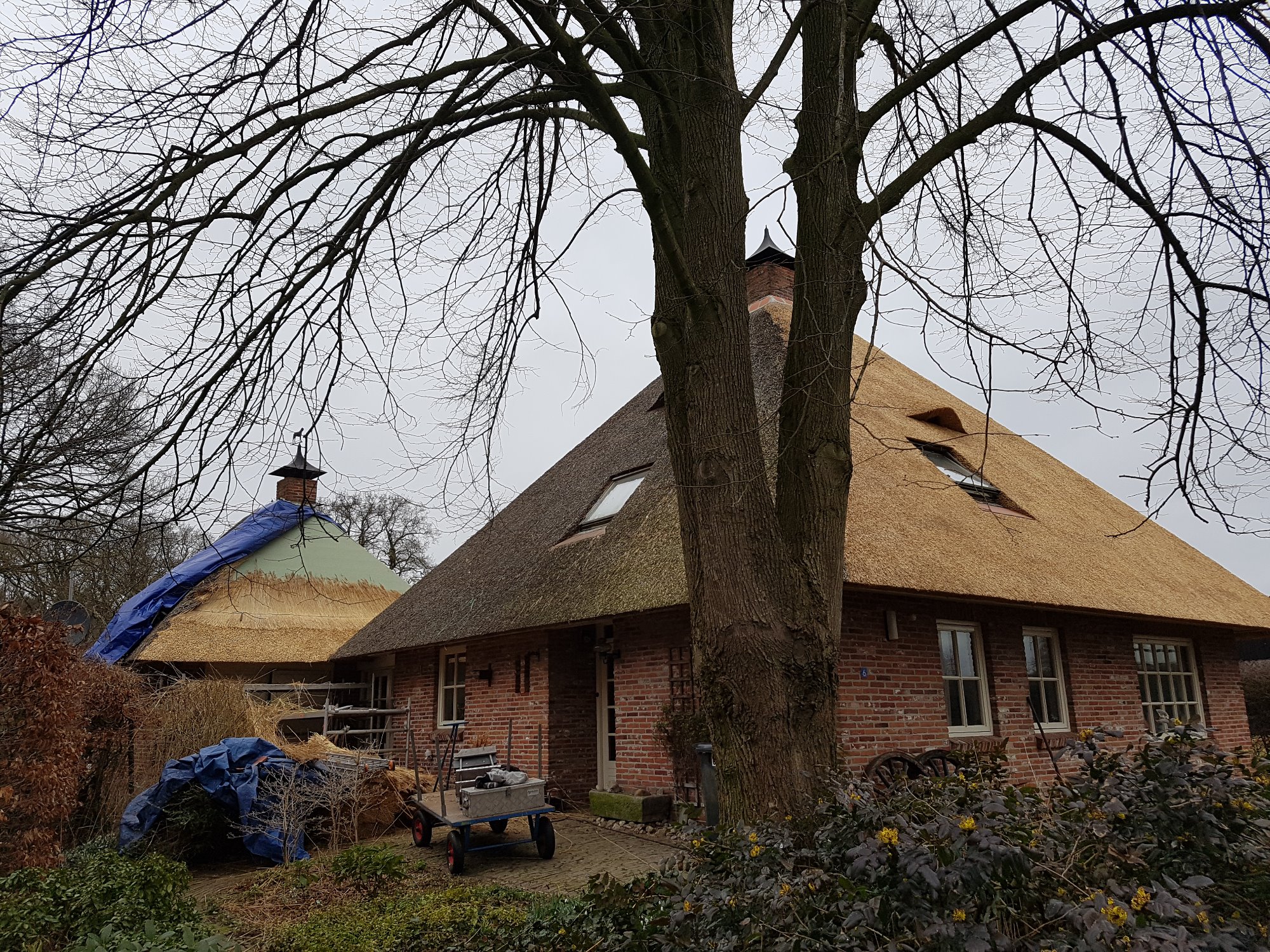 Rietendak, Holthone in Overijssel.