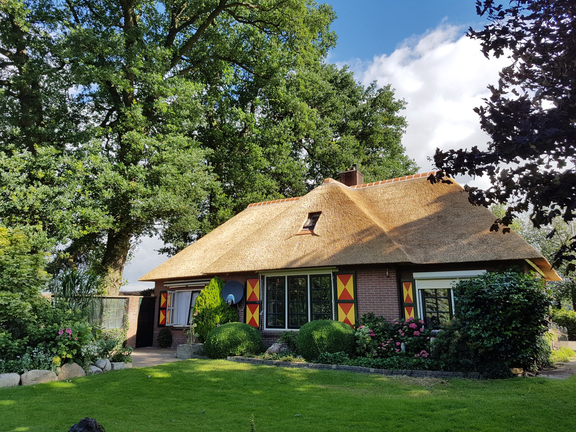 Rietdak bij boerderij Holthone.