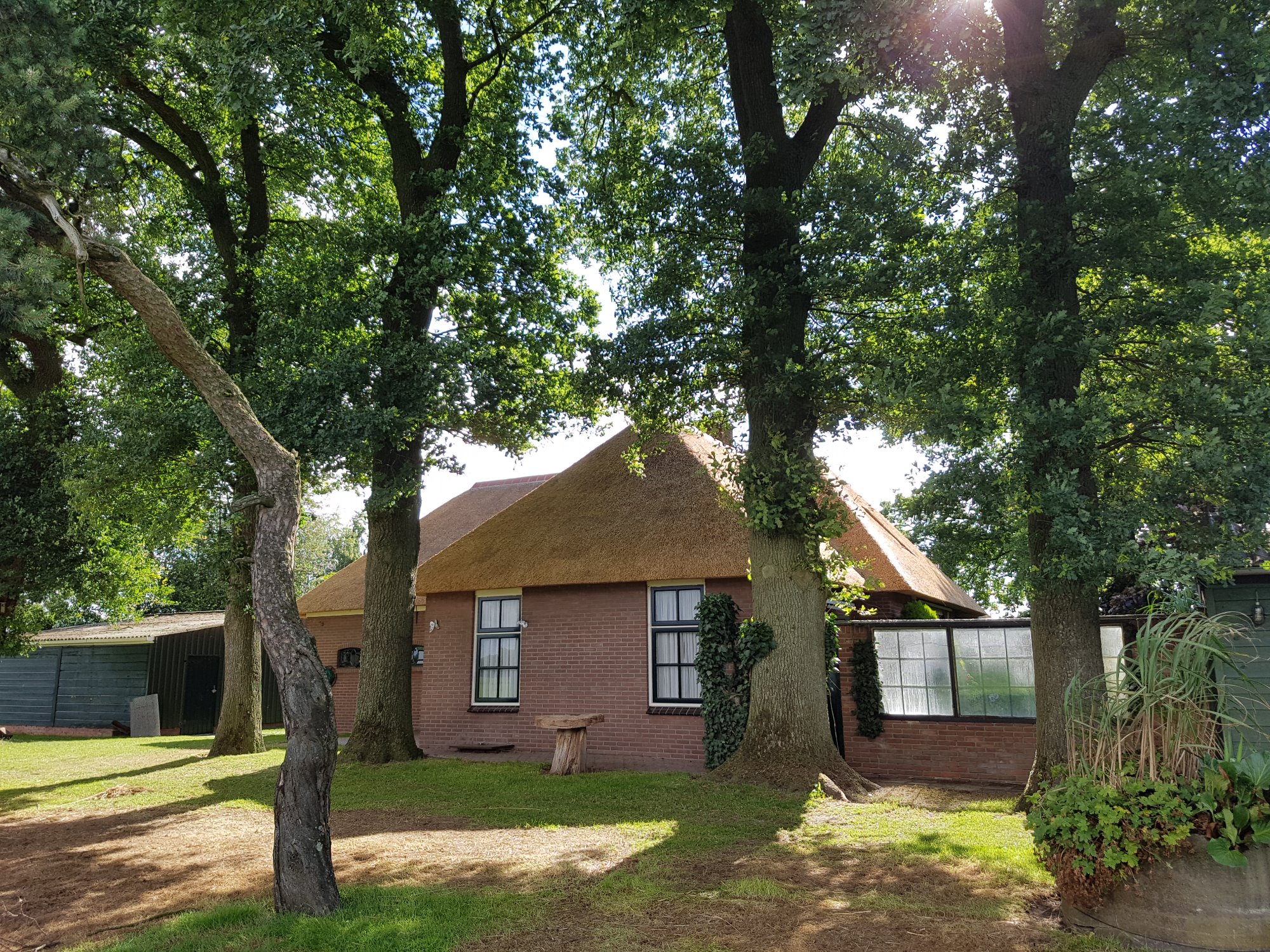 Rietendakboerderij Holthone.