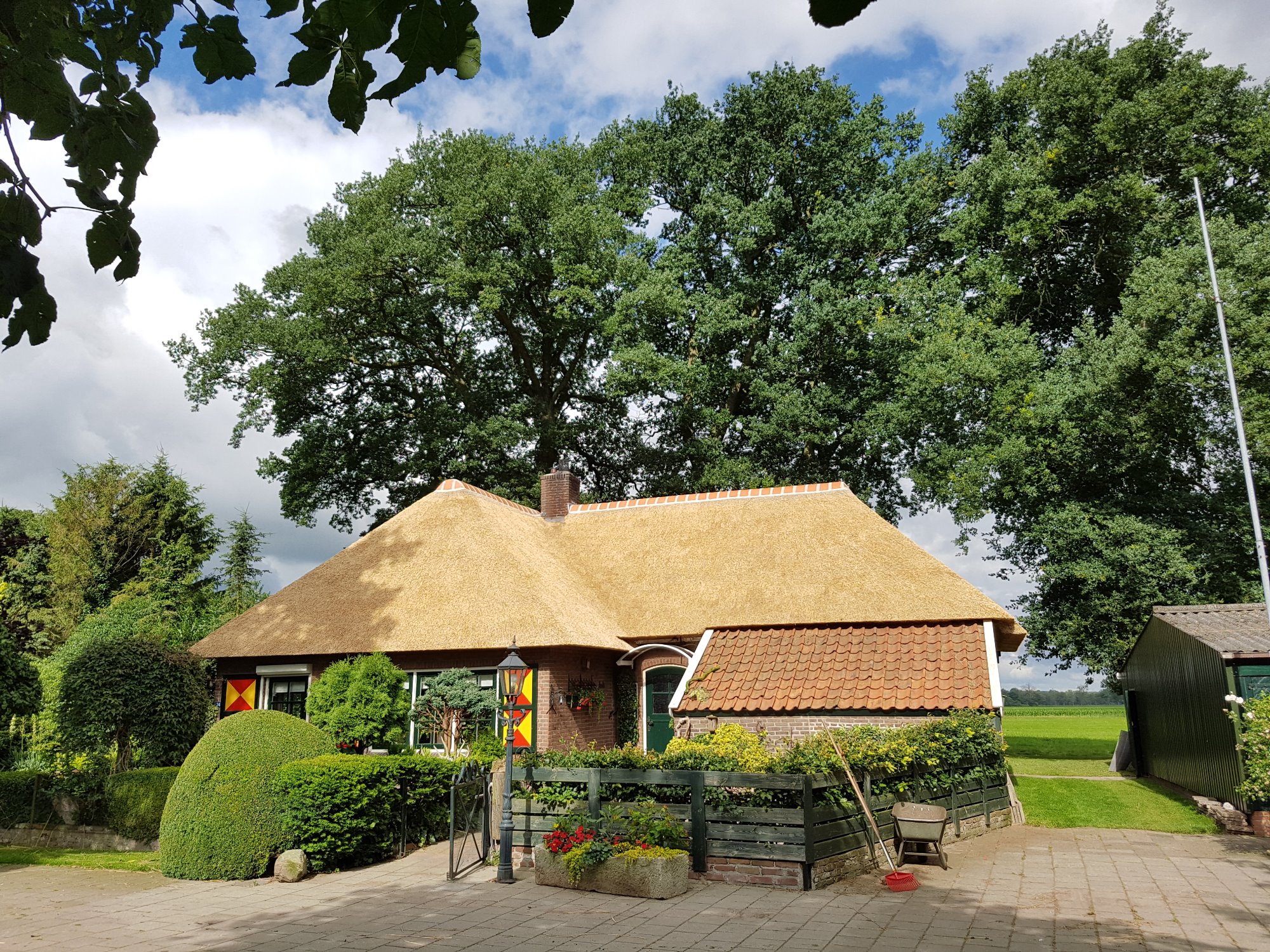 Rietendak boerderij Holthone.