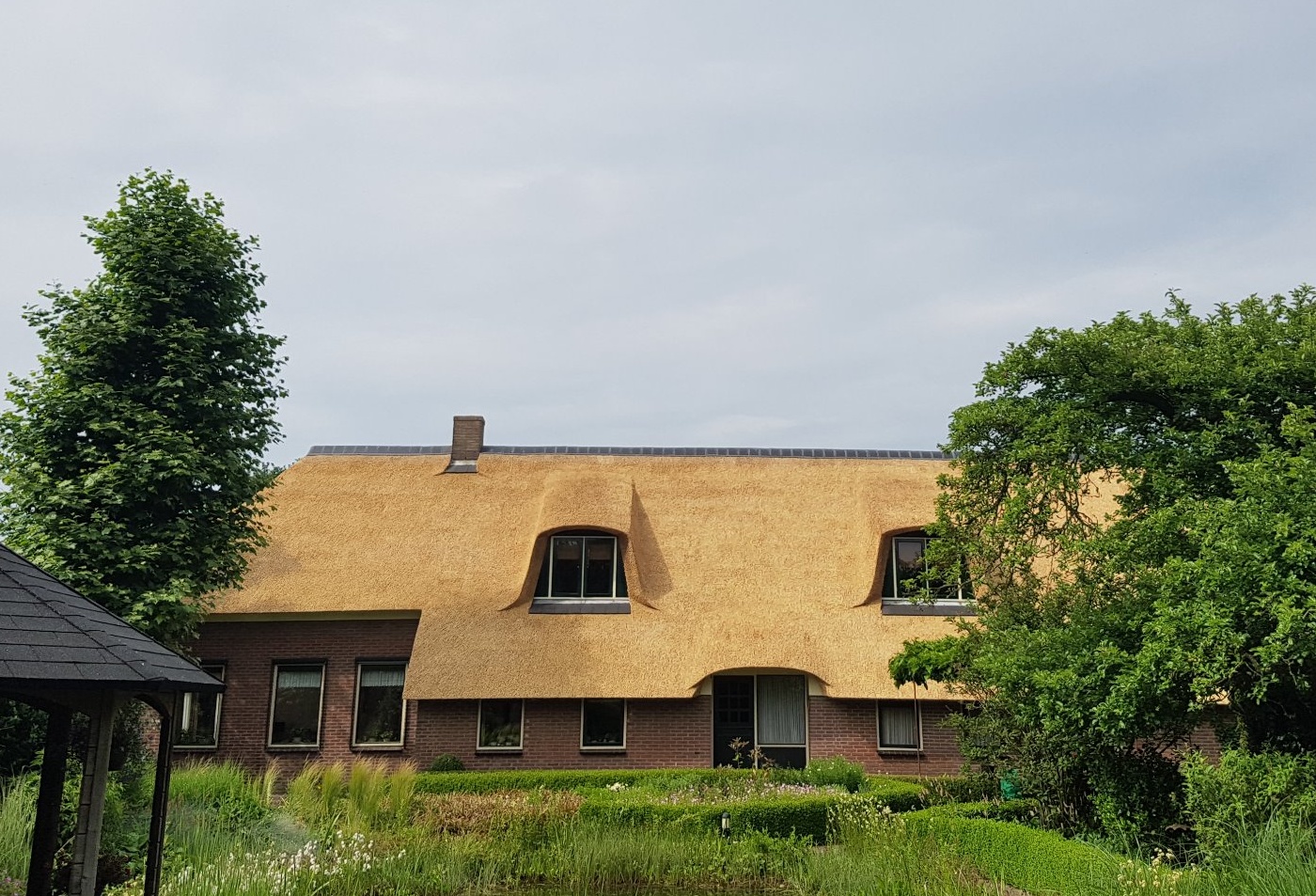 rieten dak alteveer (hoogeveen)